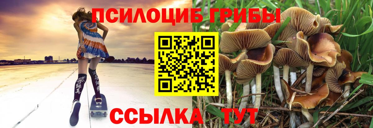 Орехово-Зуево  Псилоцибиновые грибы прущие грибы  Галлюциногенные грибы ЛСД  Вход с VPN 